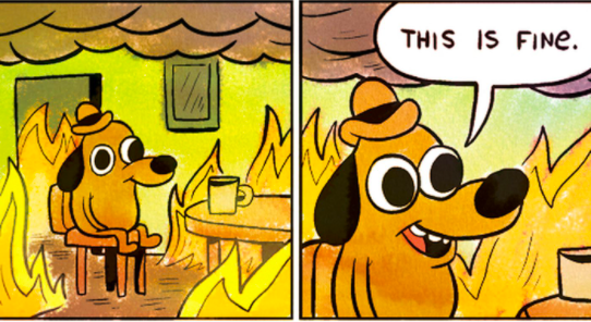 this is fine dog zoom background